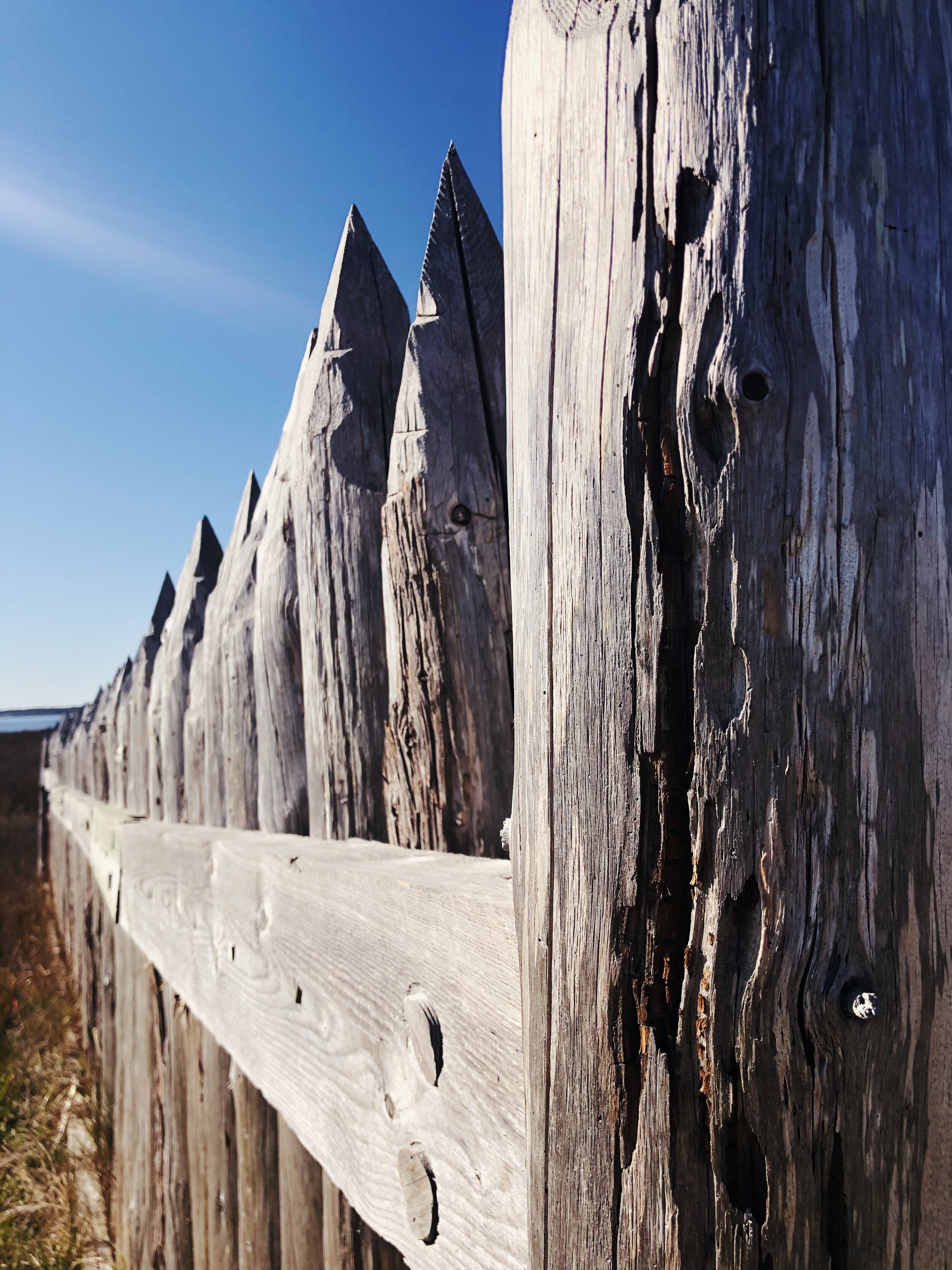 How to survive quarantine and come out climbing uphill