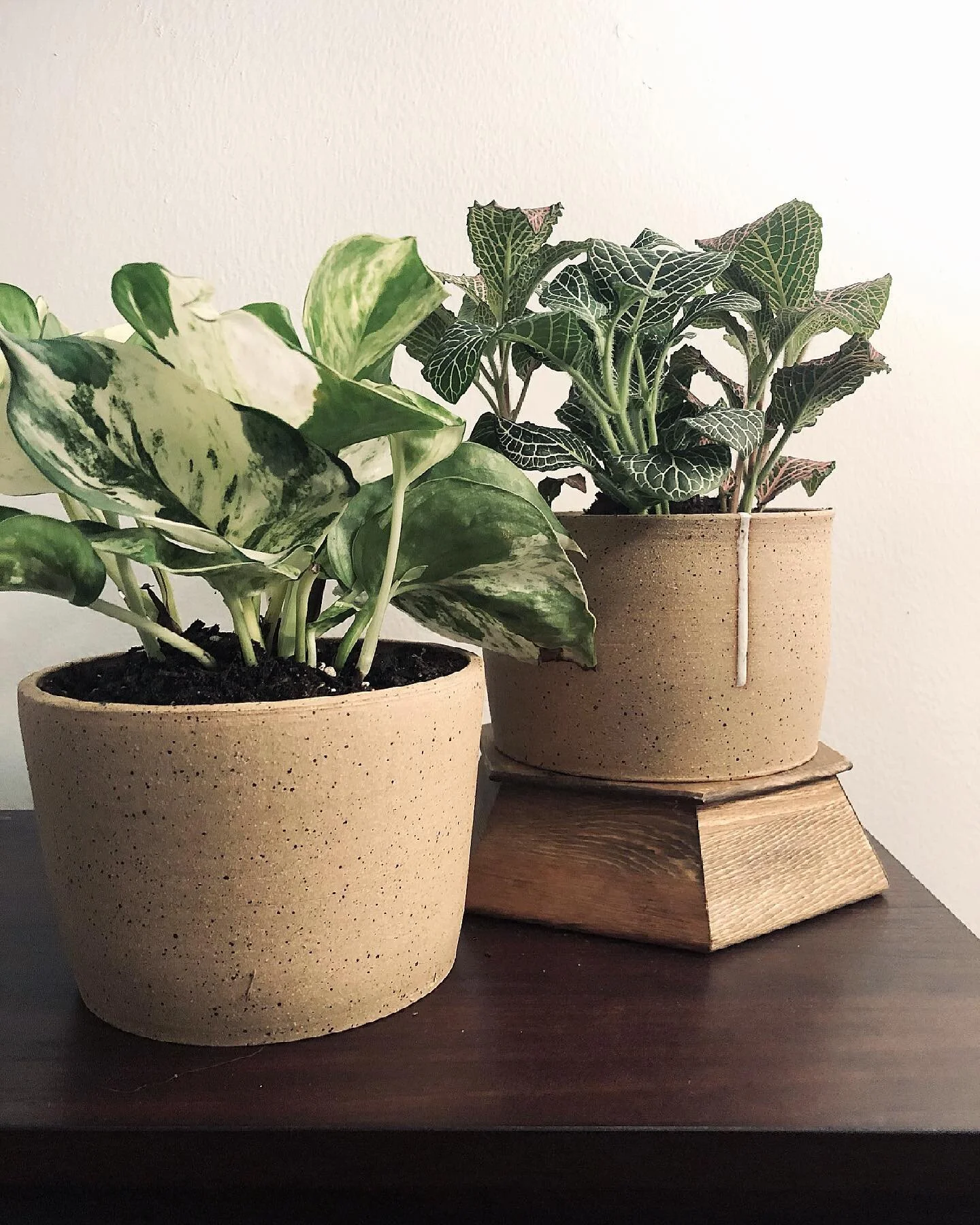 This weekend, I wet my plants. 
No but really, it was a gardening and planting weekend and I’m still not finished! I spent Friday, Saturday, and Sunday outside in the dirt and getting some sun. If I didn’t have soil dirt on my hands, I h