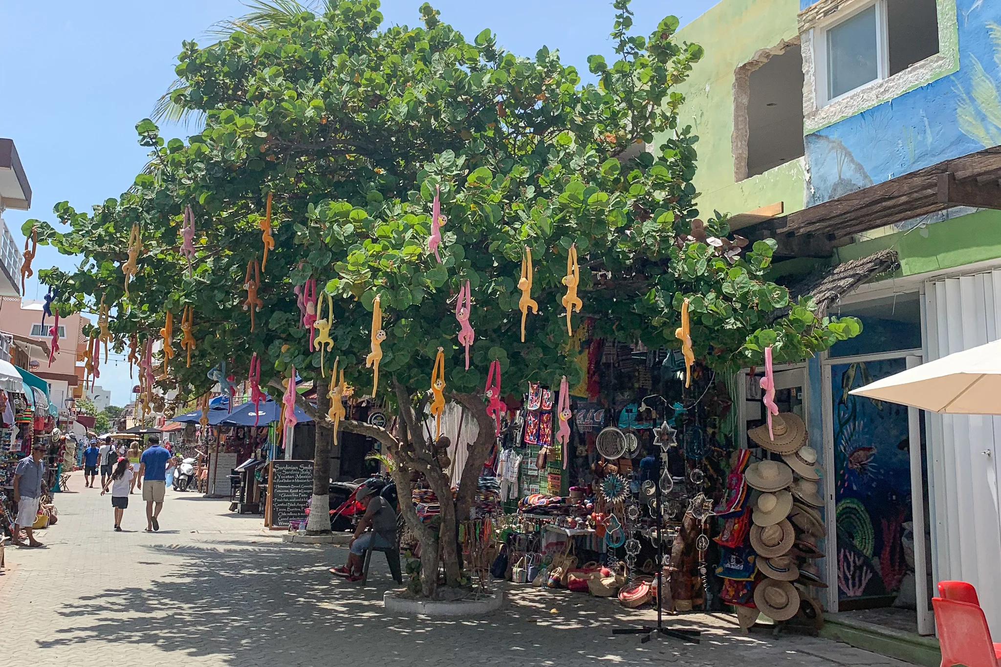 The streets of Isla Mujeres are adorable, and this tree filled with monkeys is just one cute moment.