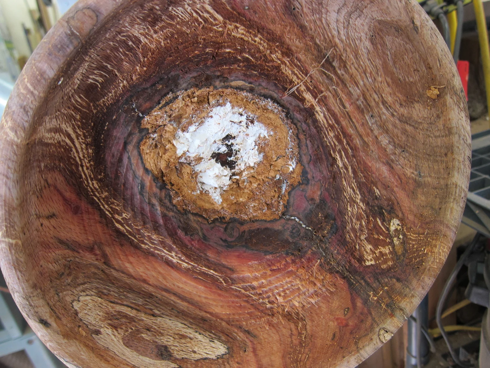 Hunting Island Hurricane Matthew Bowl - Preservation Tree Art hand crafted wood bowls