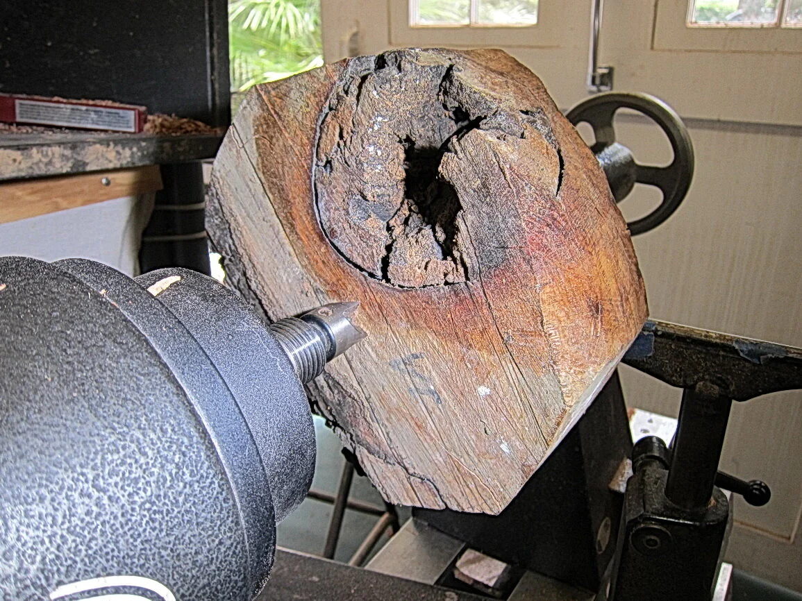 Preservation Tree Art - Red Oak Burl with Natural Edge & Chatoyance