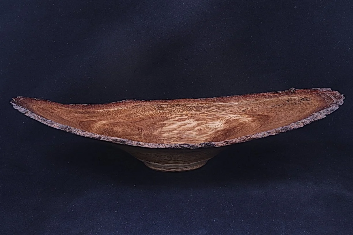 Live Edge Bluffton Secession Live Oak