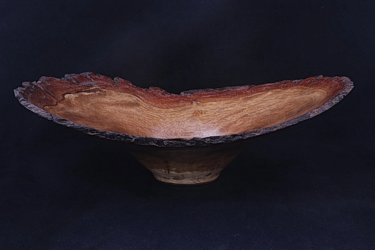 Live Edge Bluffton Secession Live Oak