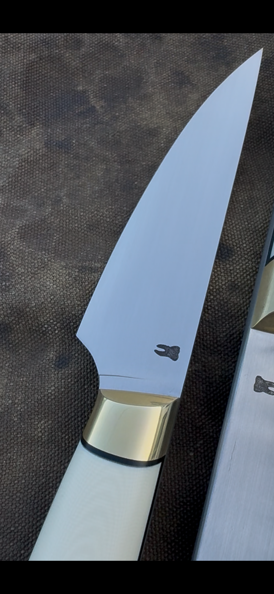 B3600880-AFB4-4450-A9B2-9BF5C3F66F51.png