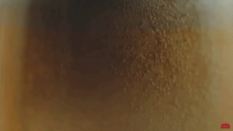 SA_Cidre_GIF_6.gif