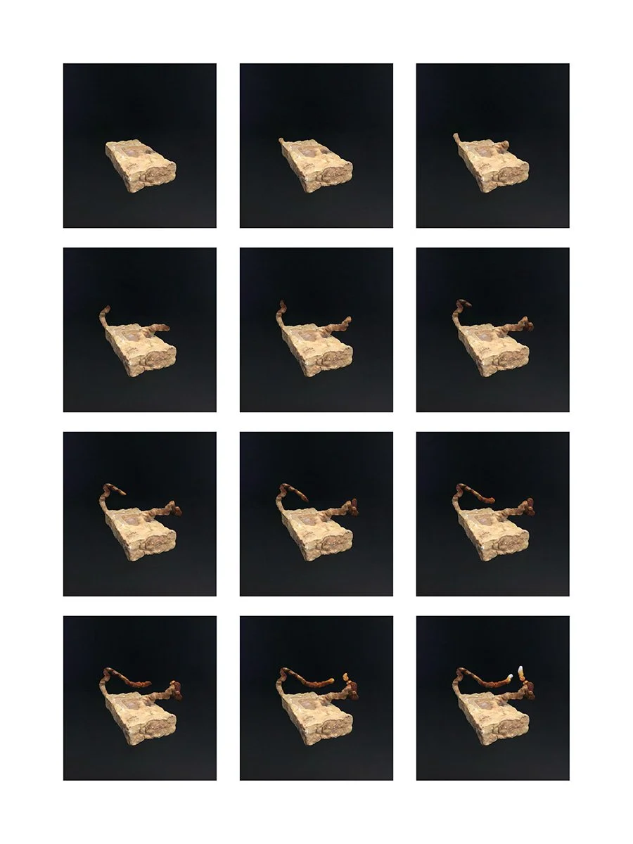 BIO MATERIALS-mycelium movement 1 grid .jpg