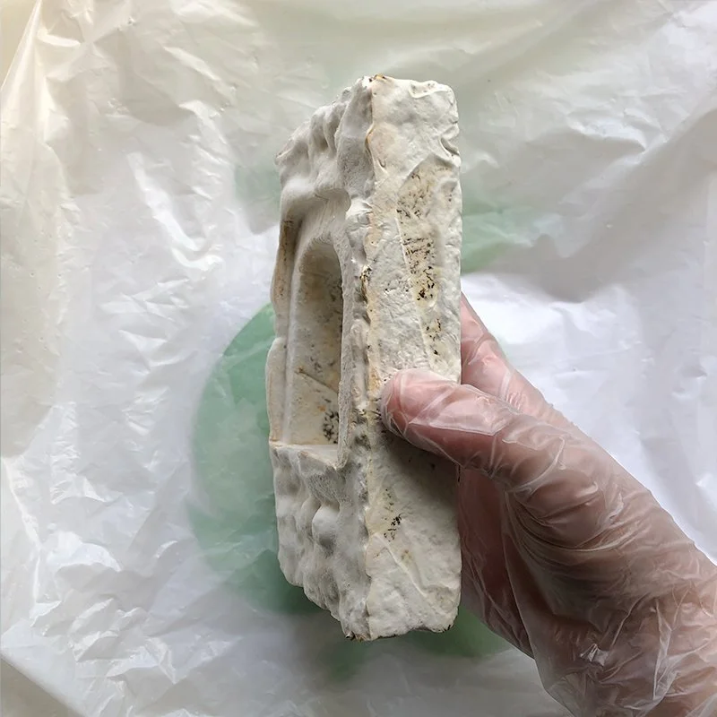 Form_Mycelium4.jpg