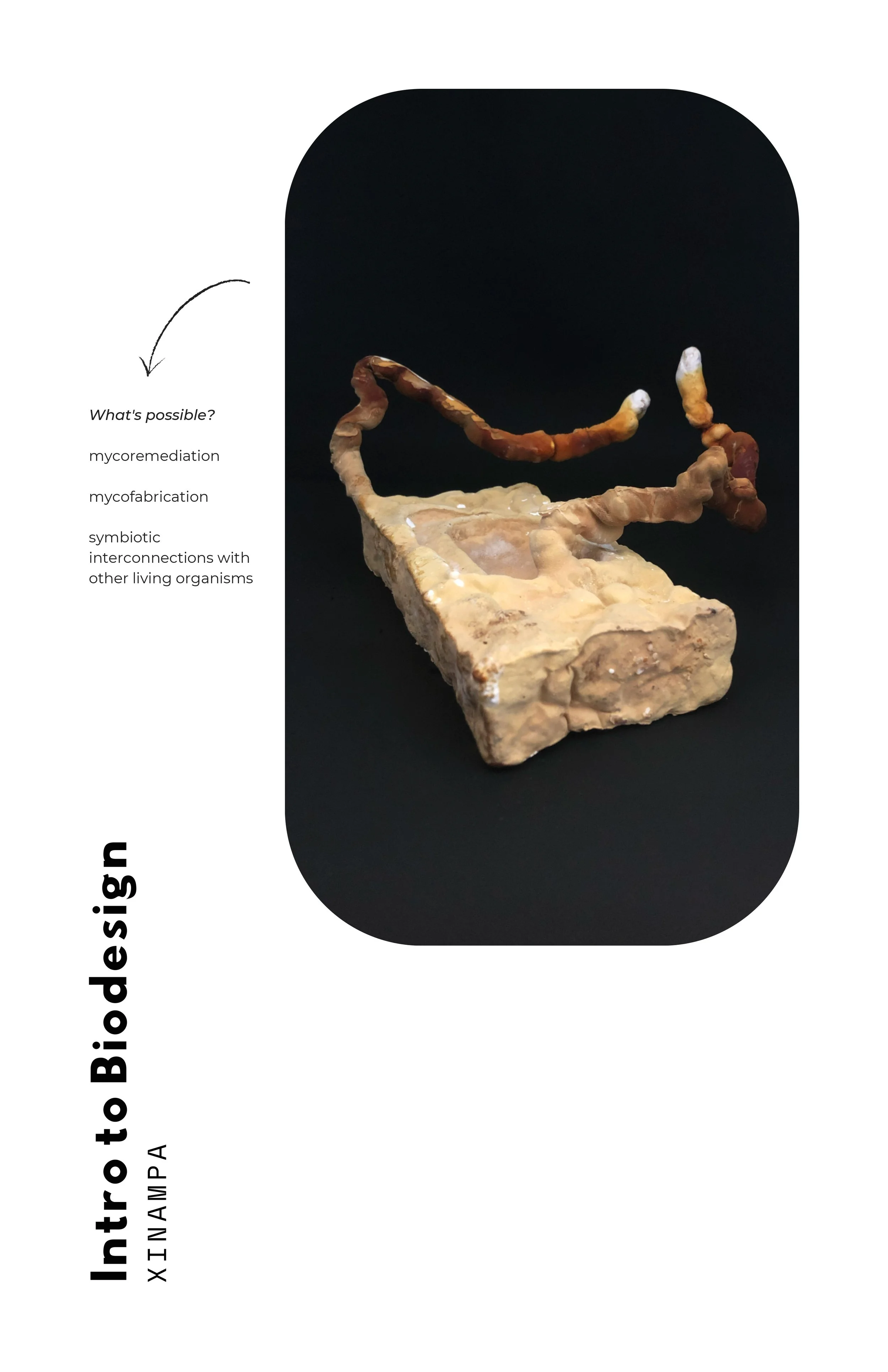 ntro to biodesign-1.jpg