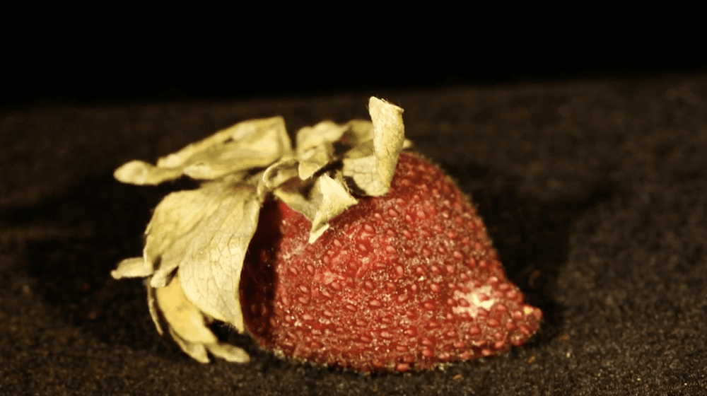 Strawberry Story