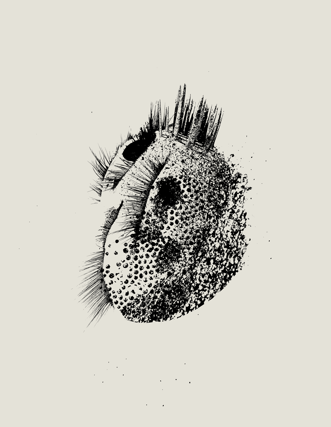 Letter to Soil