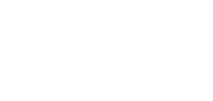 2025 STEP Diamond.png