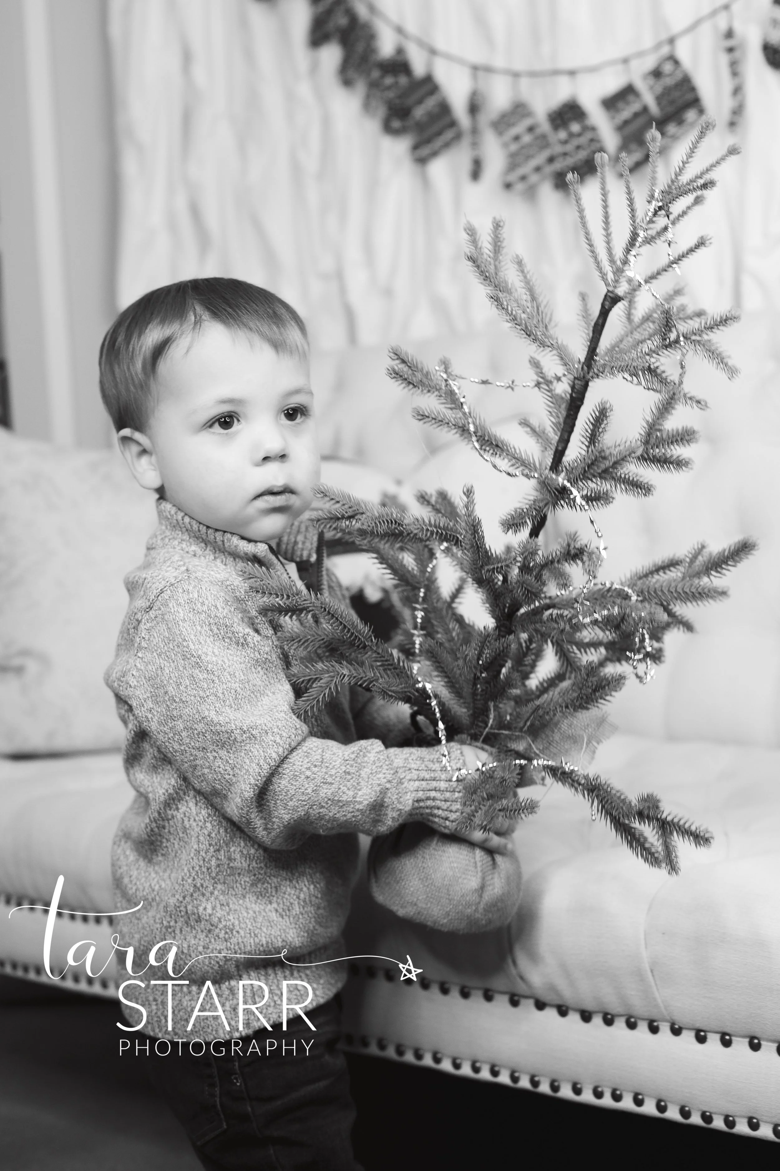 untitled-351-Edit-1.jpg