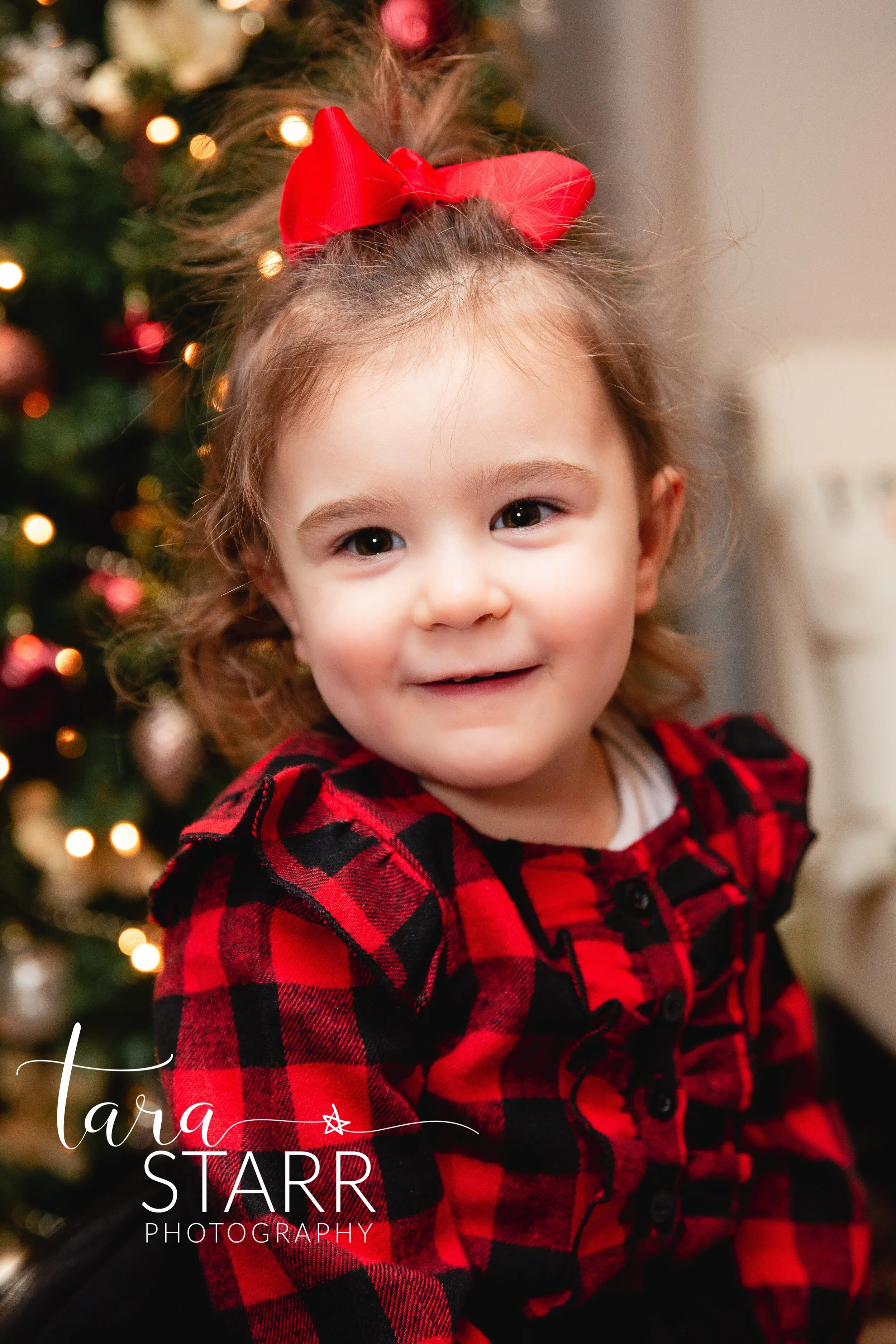xmasCrocker2020-15.jpg