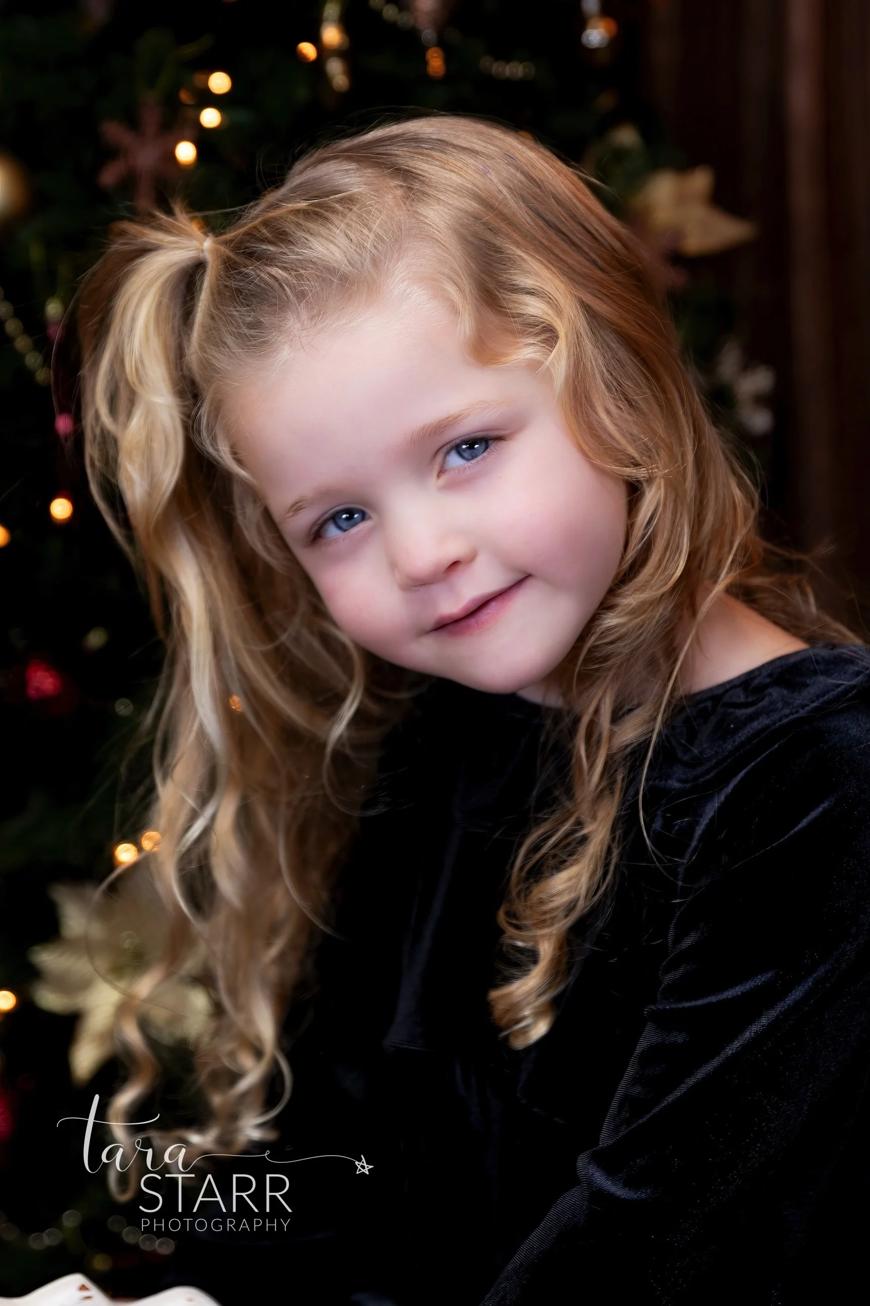 Holiday Portrait Session In Reading, Massachusetts