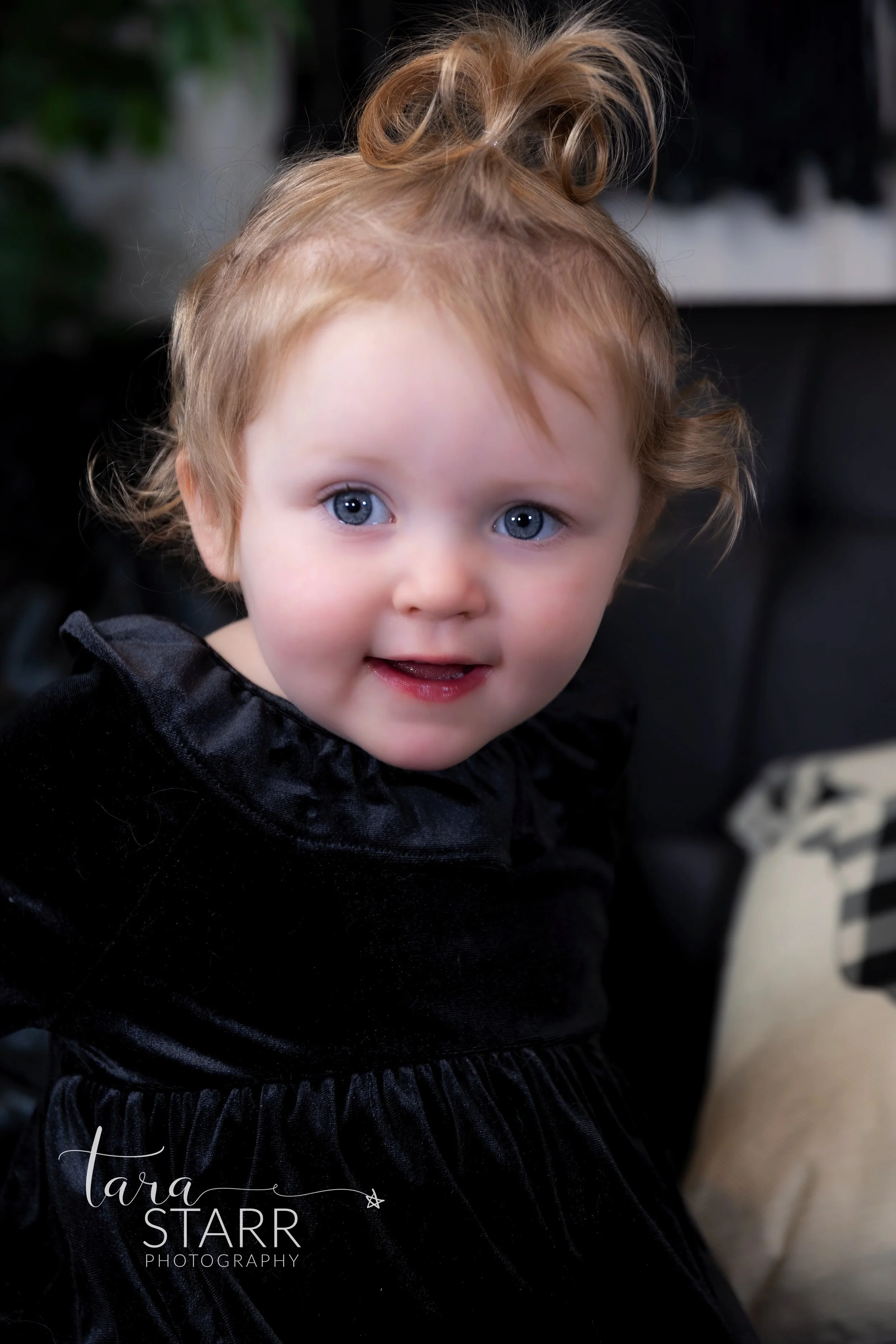 Holiday Portrait Session In Reading, Massachusetts