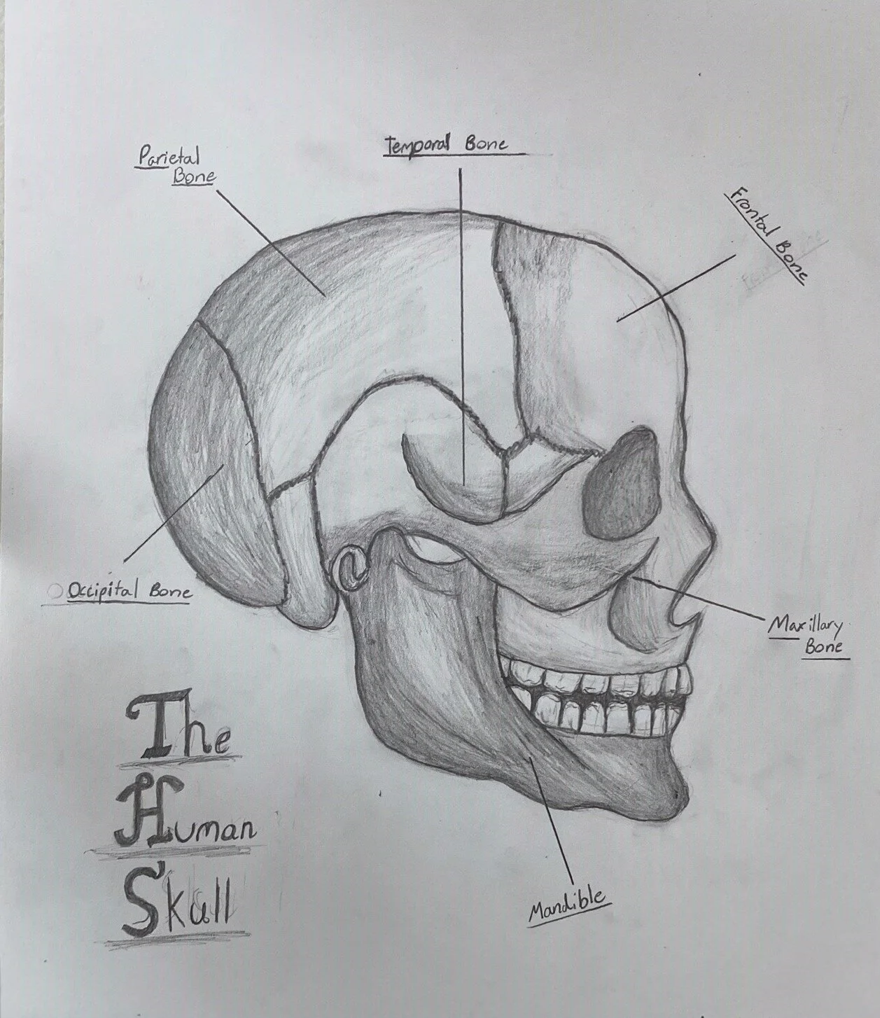What is all the Hype Surrounding the Waldorf Approach to Teaching Science?