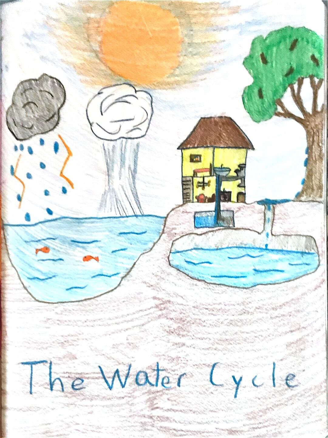 Water Cycle.jpg