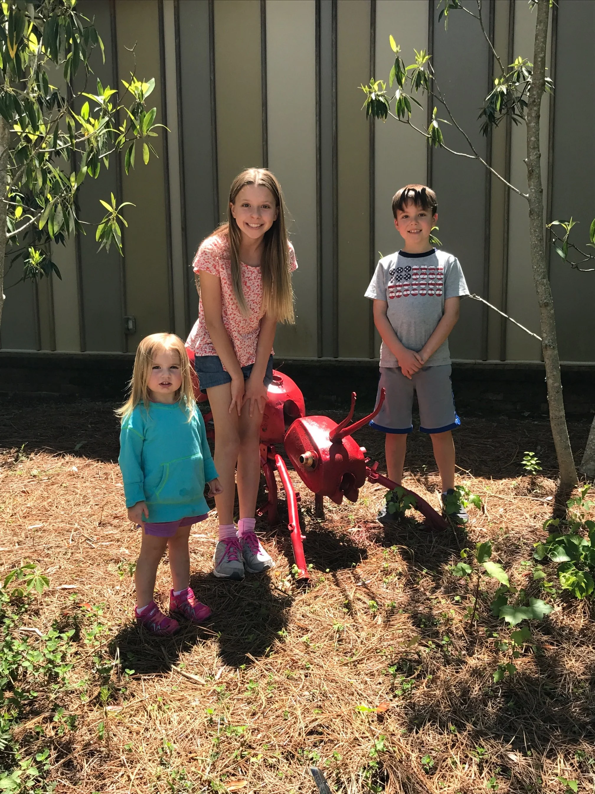 The Top Six Questions to Consider When Homeschooling Multiple Children at the Same Time