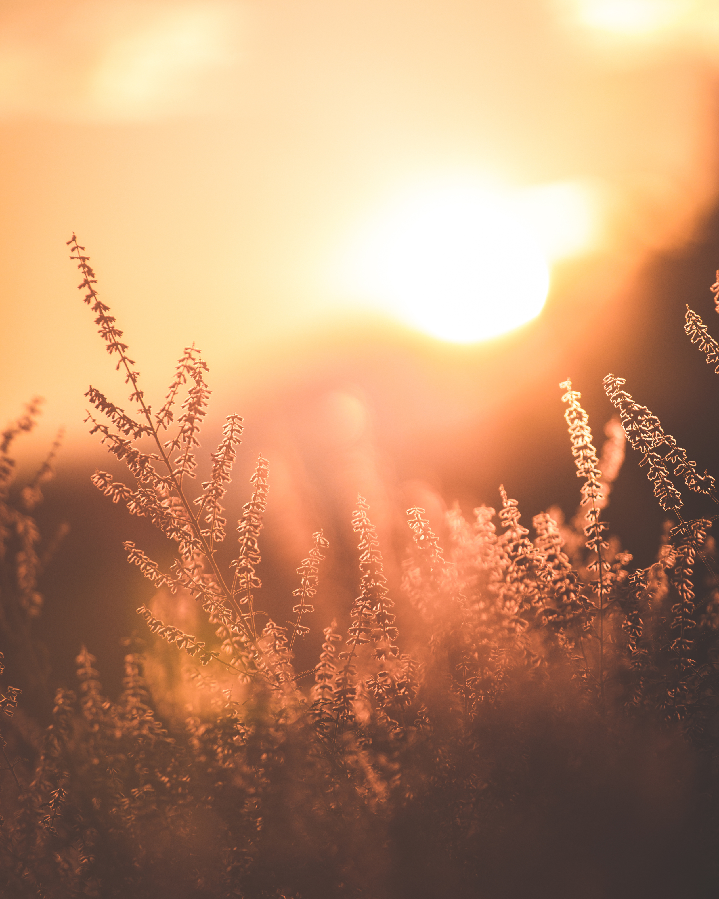 Why the Morning Verse Matters