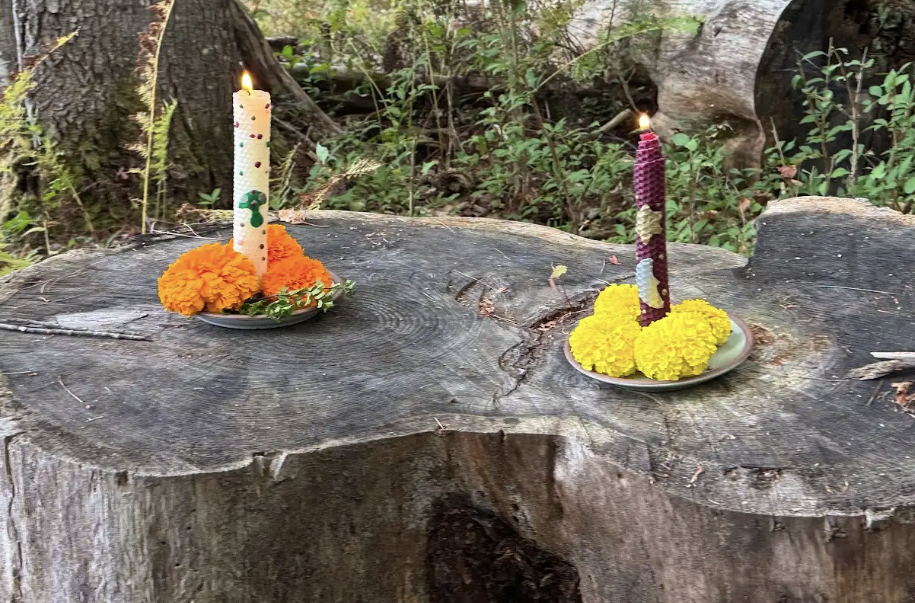 Screenshot 2026-04-20 at 10.08.51 AM.png