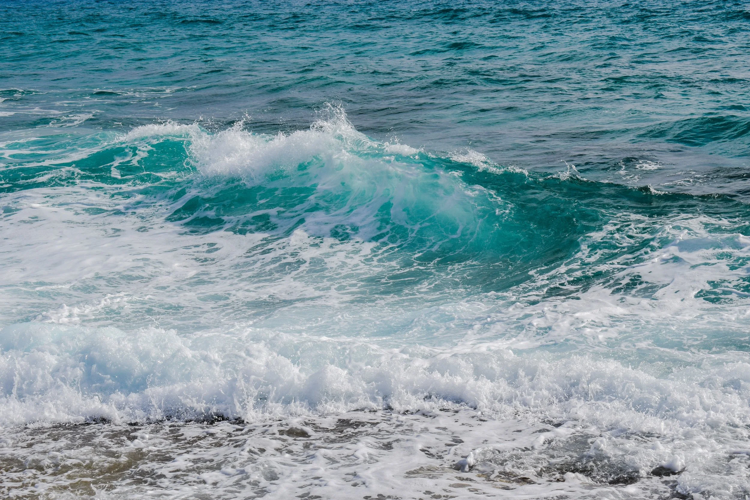 beach-foam-motion-355580.jpg