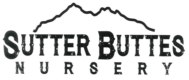 Sutter Buttes Nursery