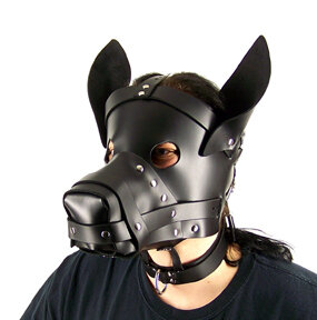 Axovus Big Dog Hood