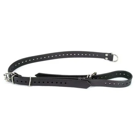 Axovus Leather Bed Tie - Tie Down