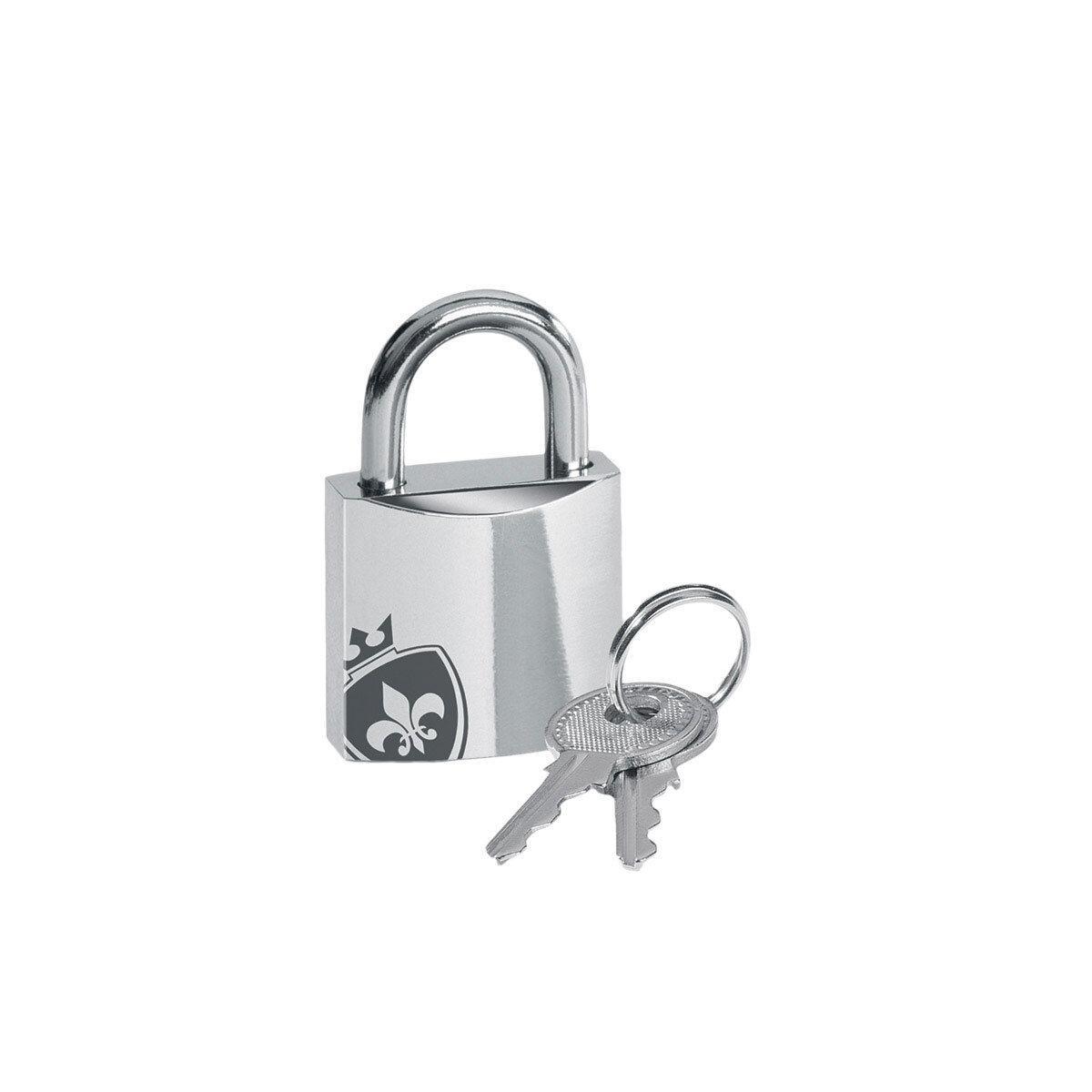 A00426-Mystim-Pubicenemy-Padlock-05.jpg