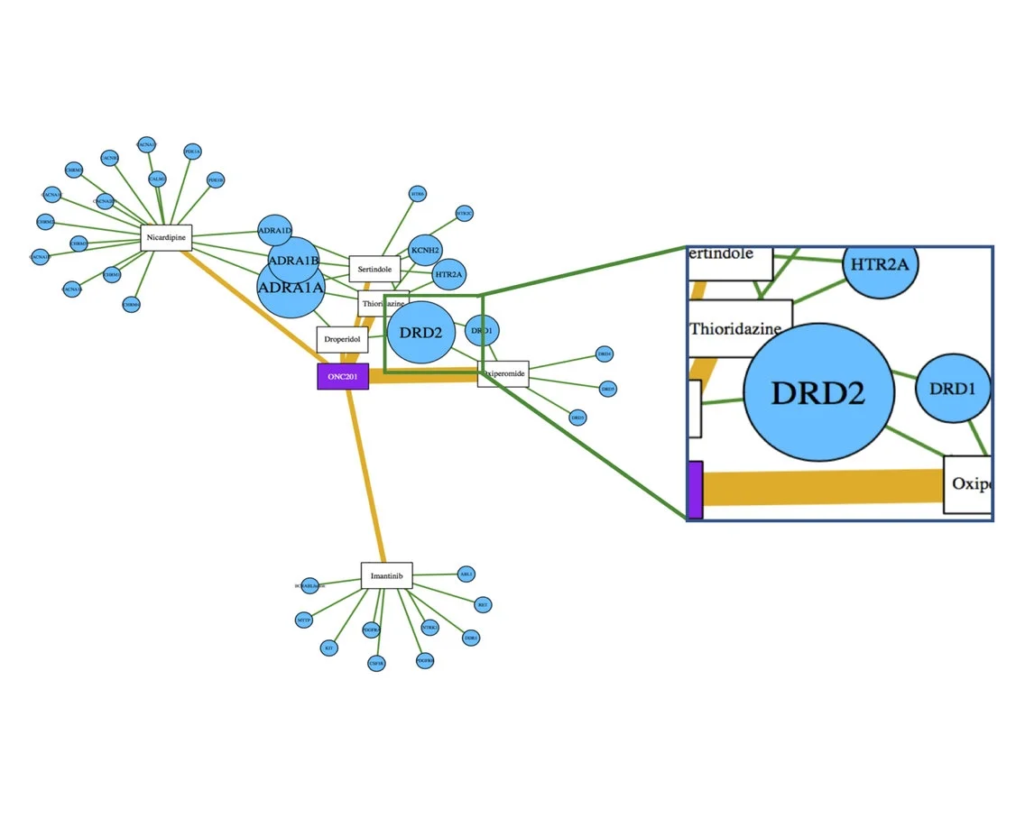 Finding the right patients, analogs, and indications for ONC201