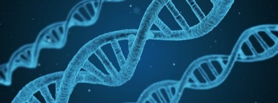 canva-dna,-string,-biology,-3d,-biotechnology,-chemistry-MACVo9smWAo.jpg