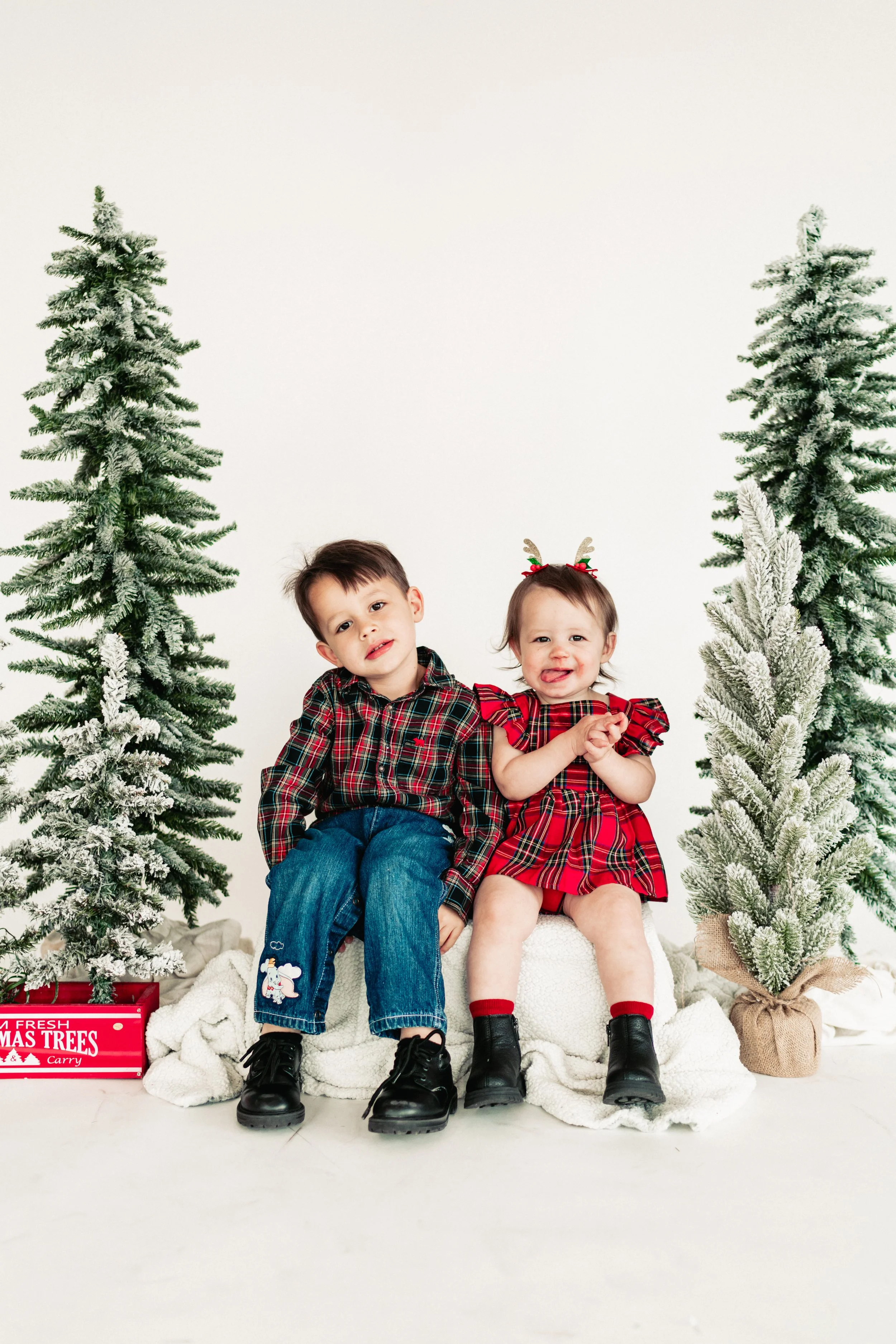 Charlotte Christmas Minis 2022 - Ash Nichole Photos-03154.jpg