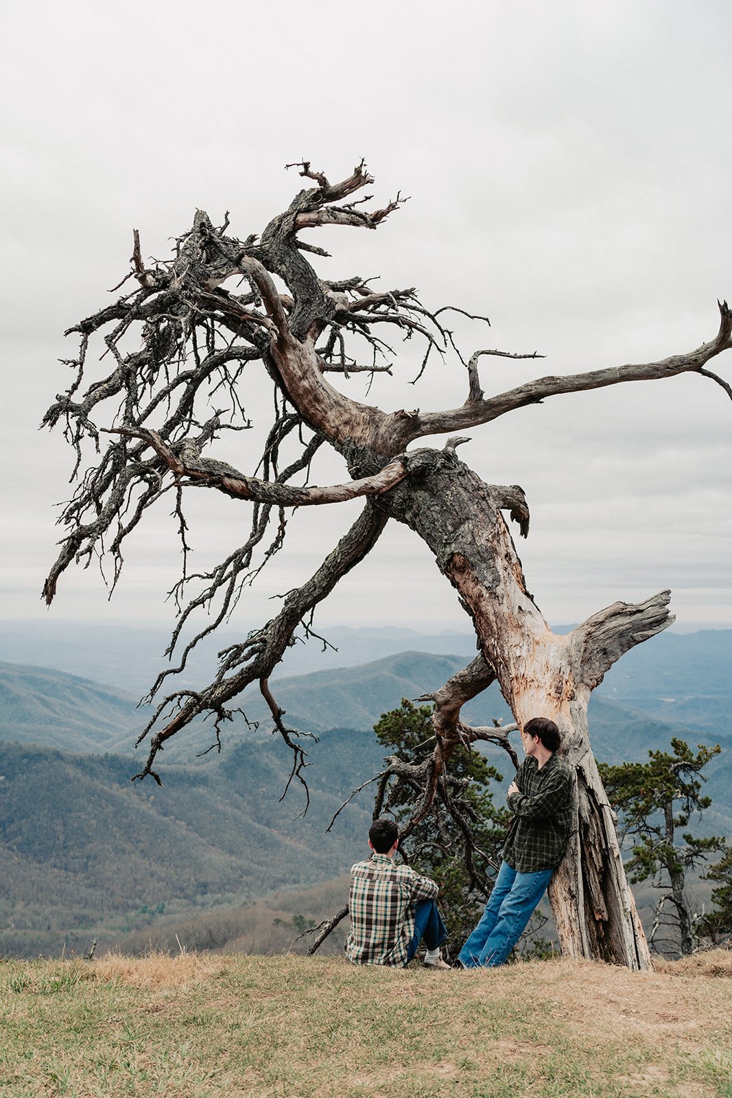 Mountain Minis, Blue Ridge Parkway