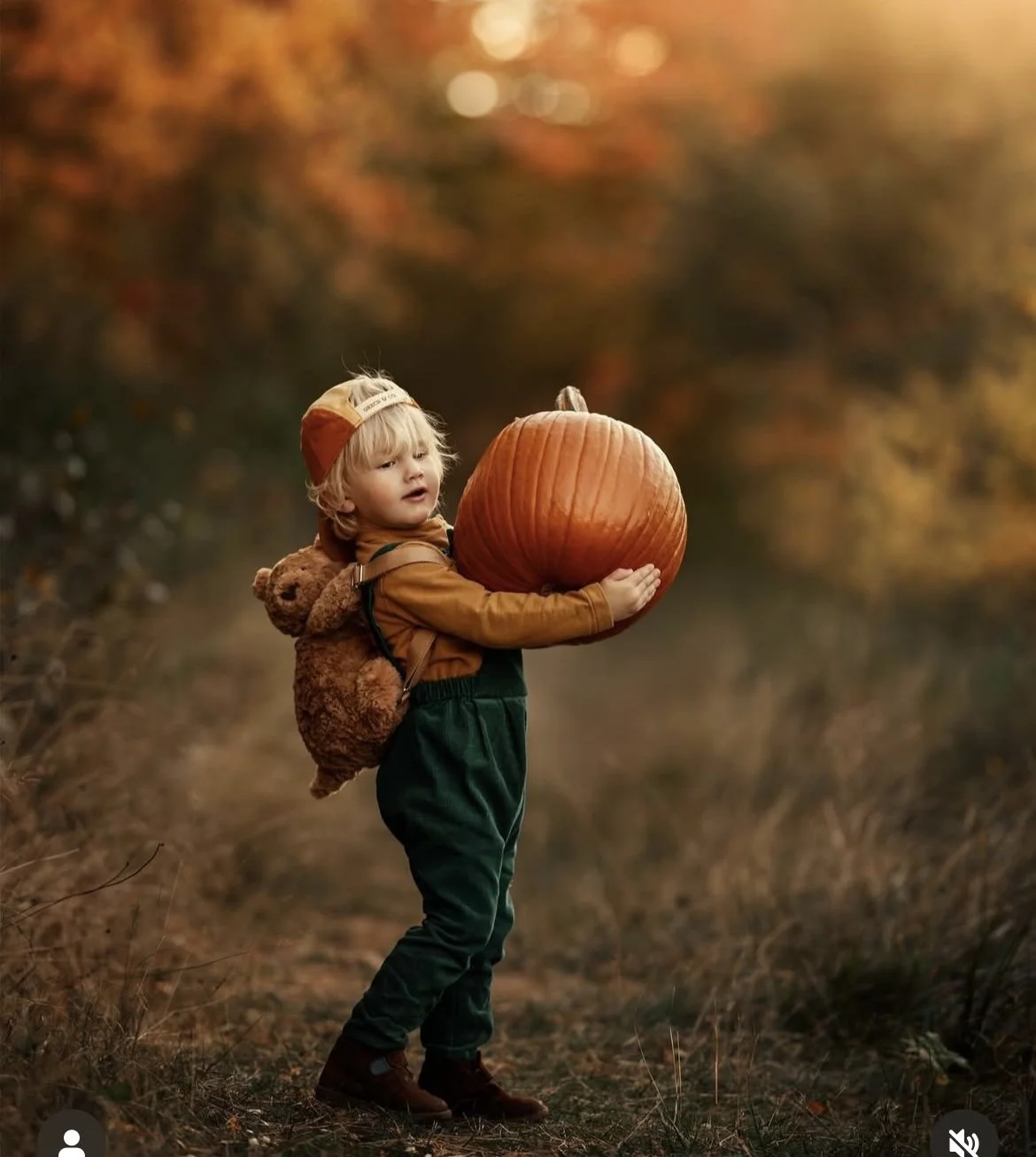 Pumpkin Patch Mini Sessions at Hodges Farm in Charlotte NC