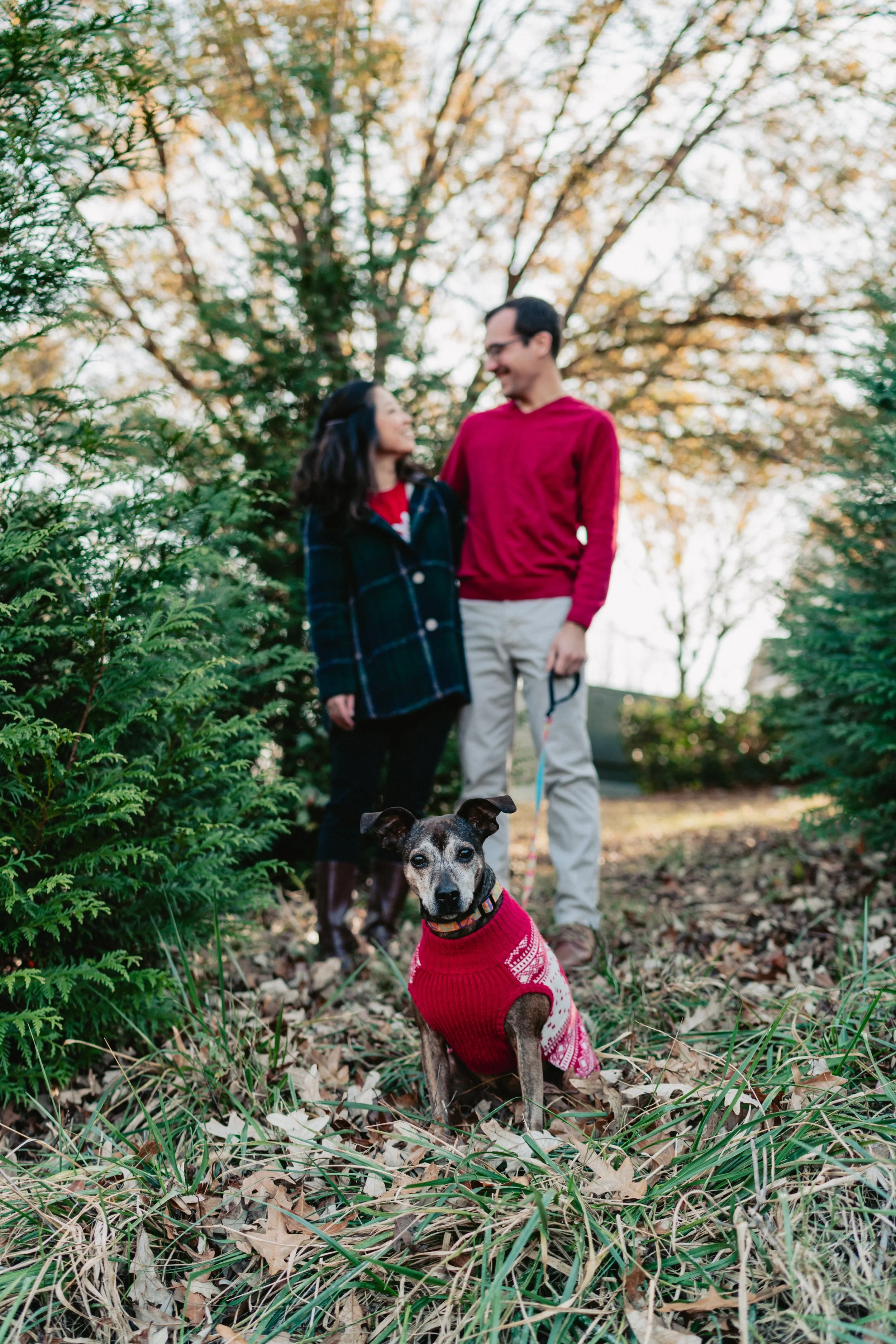 Fall & Christmas Mini Hybrid Sessions at the Greenway of Antiquity