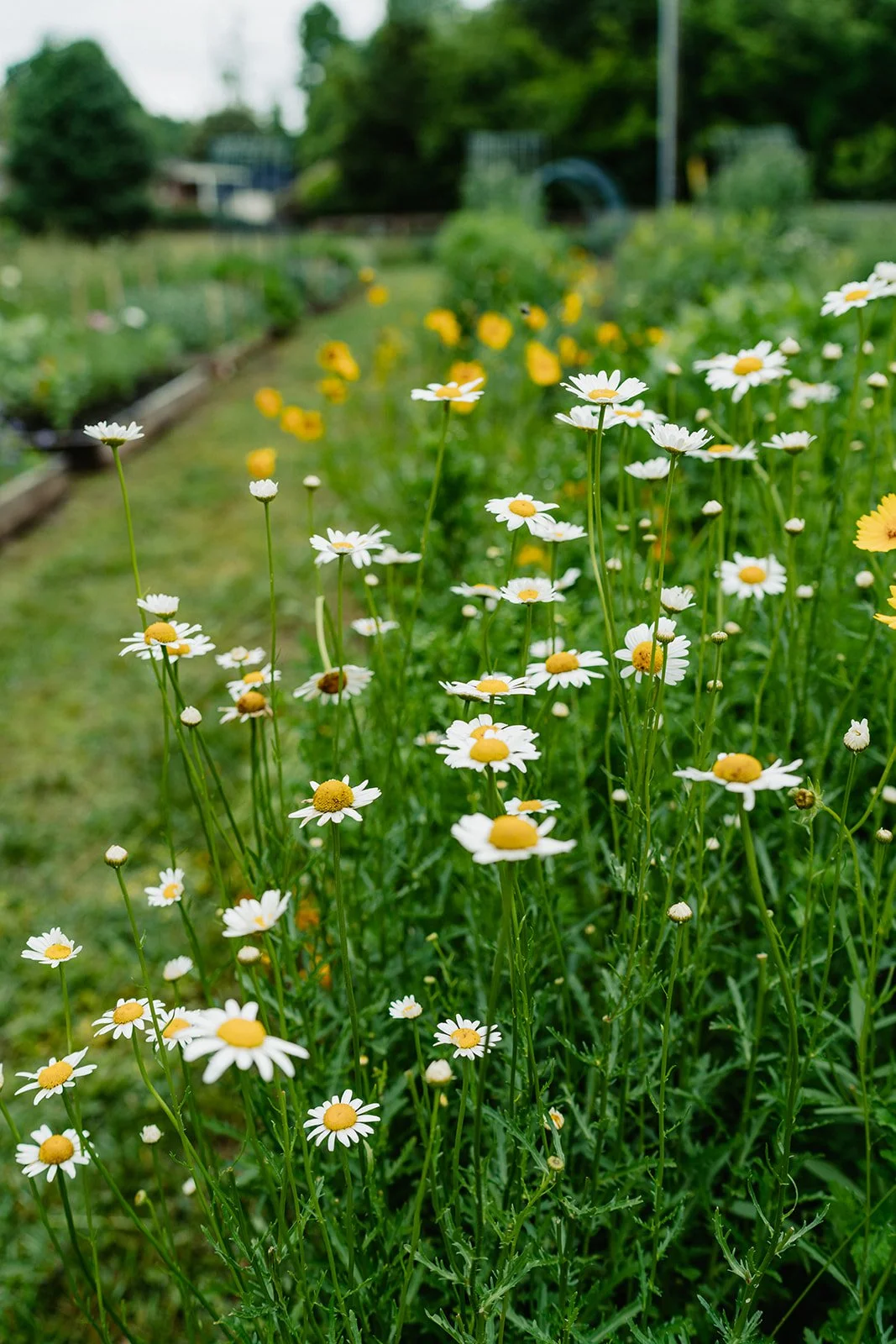 Event Photography - Ash Nichole Photos-071944_websize.jpg