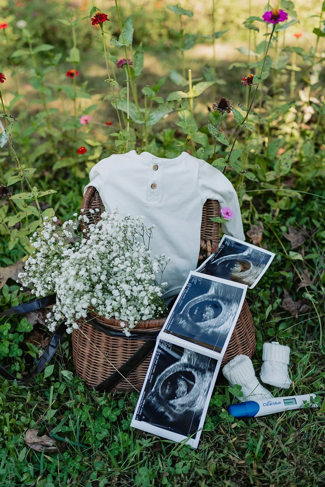 Pregnancy Announcement Session - Ash Nichole Photos-882623_websize.jpg