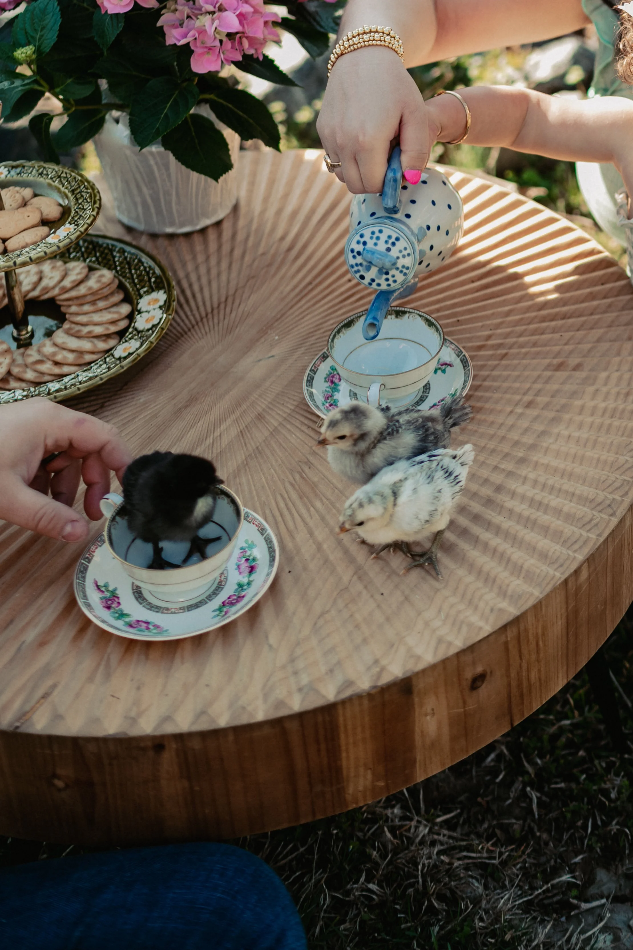 Ash Nichole Photos -Family Photography-6929-2.jpg