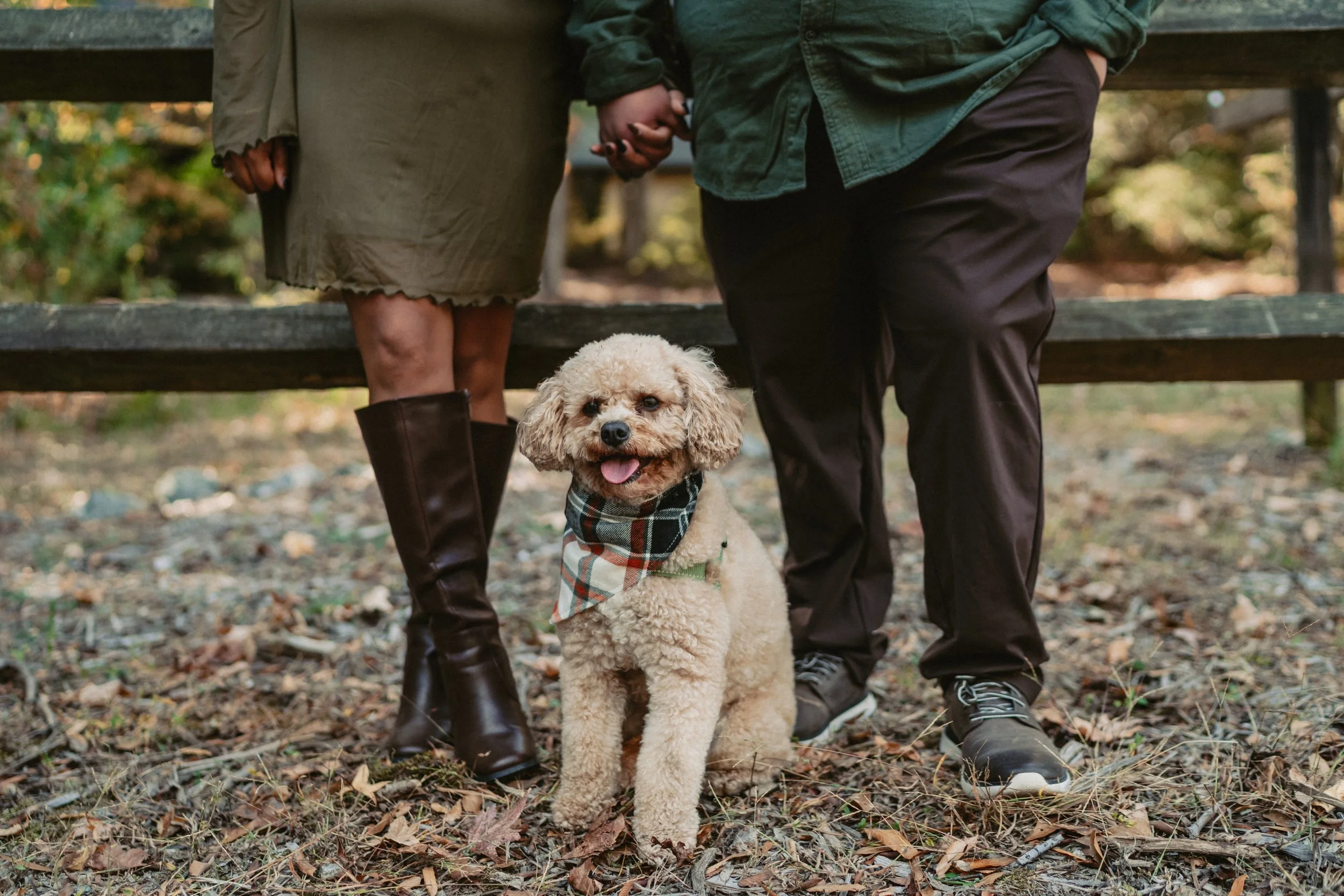 Fall Family Session - Ash Nichole Photos-2844.jpg
