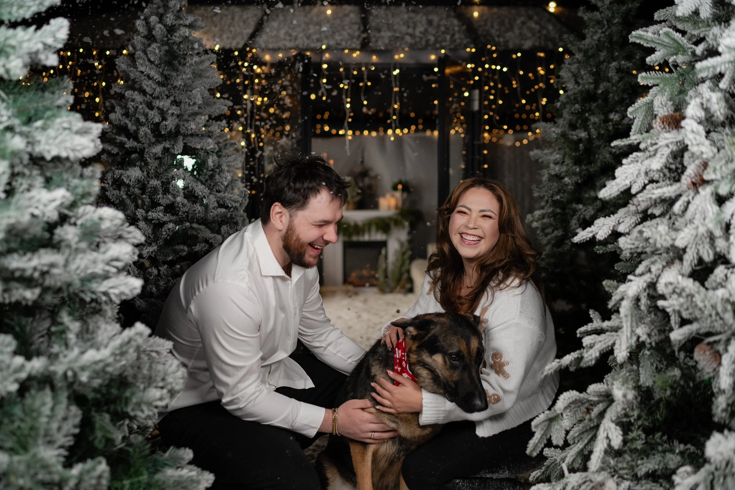 A man and woman smiling and playing with a dog among decorated Christmas trees with string lights in a cozy indoor setting.