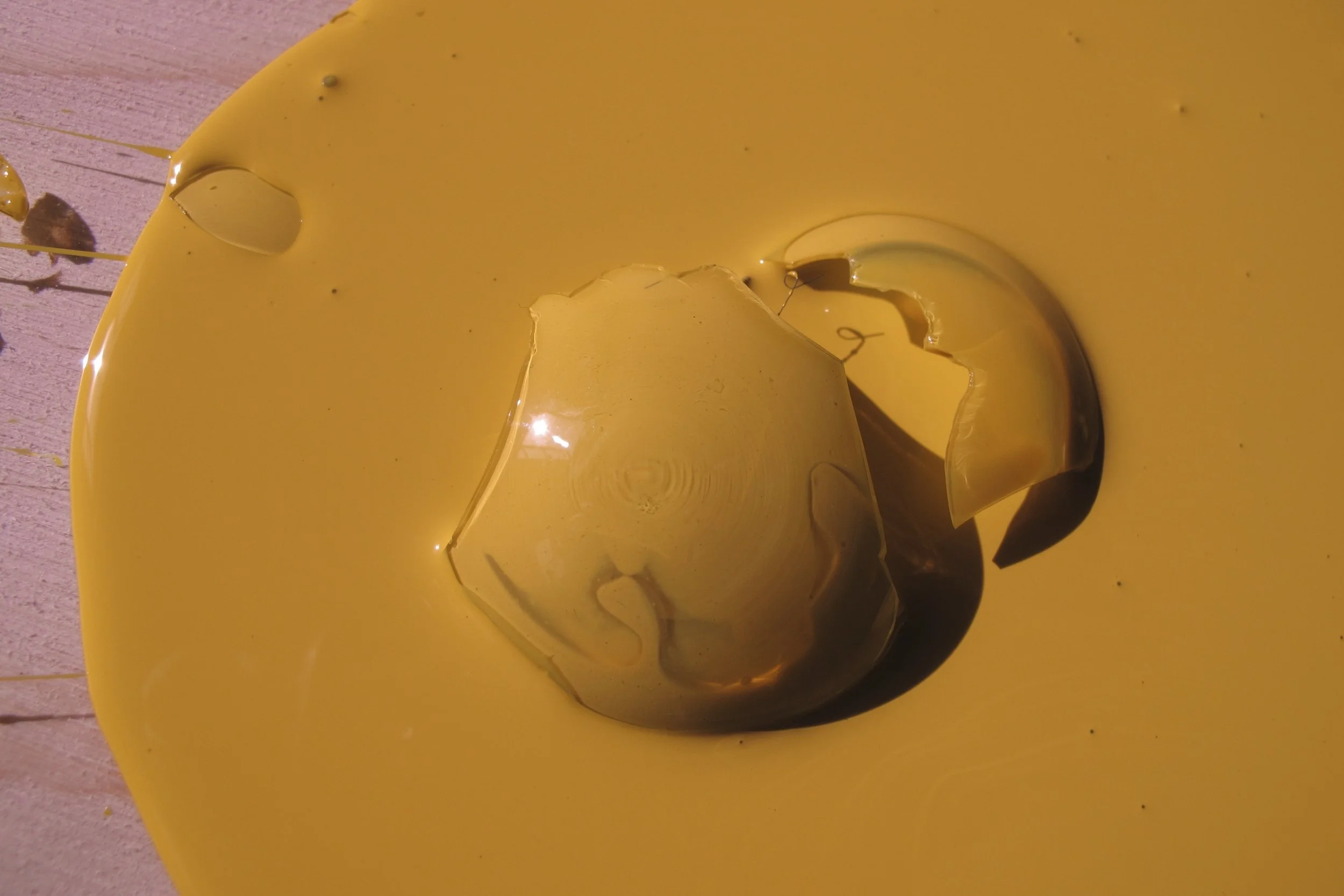 Yellow Bulb 19, 2013