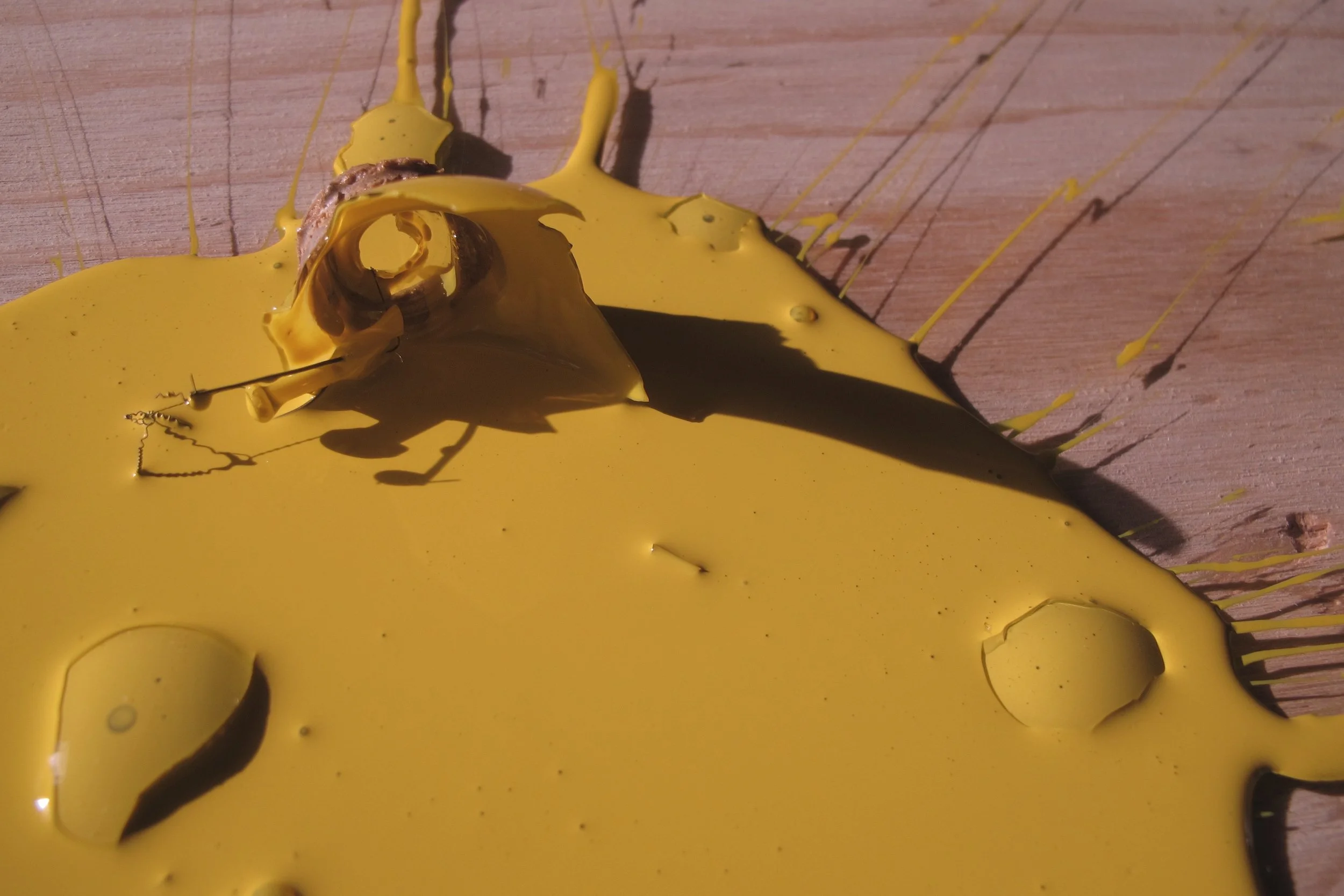 Yellow Bulb 35, 2013