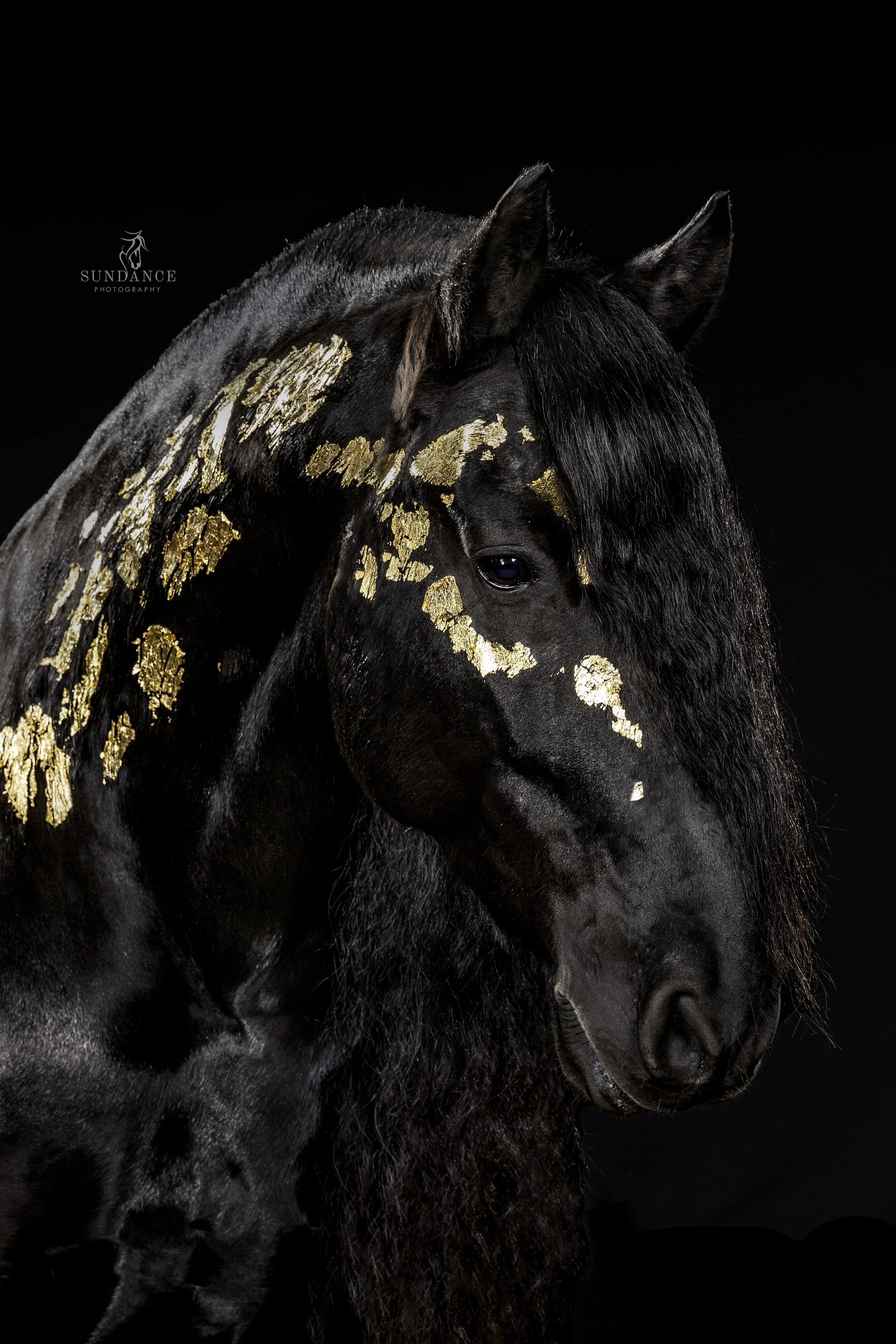 Addisen and Klaas_020