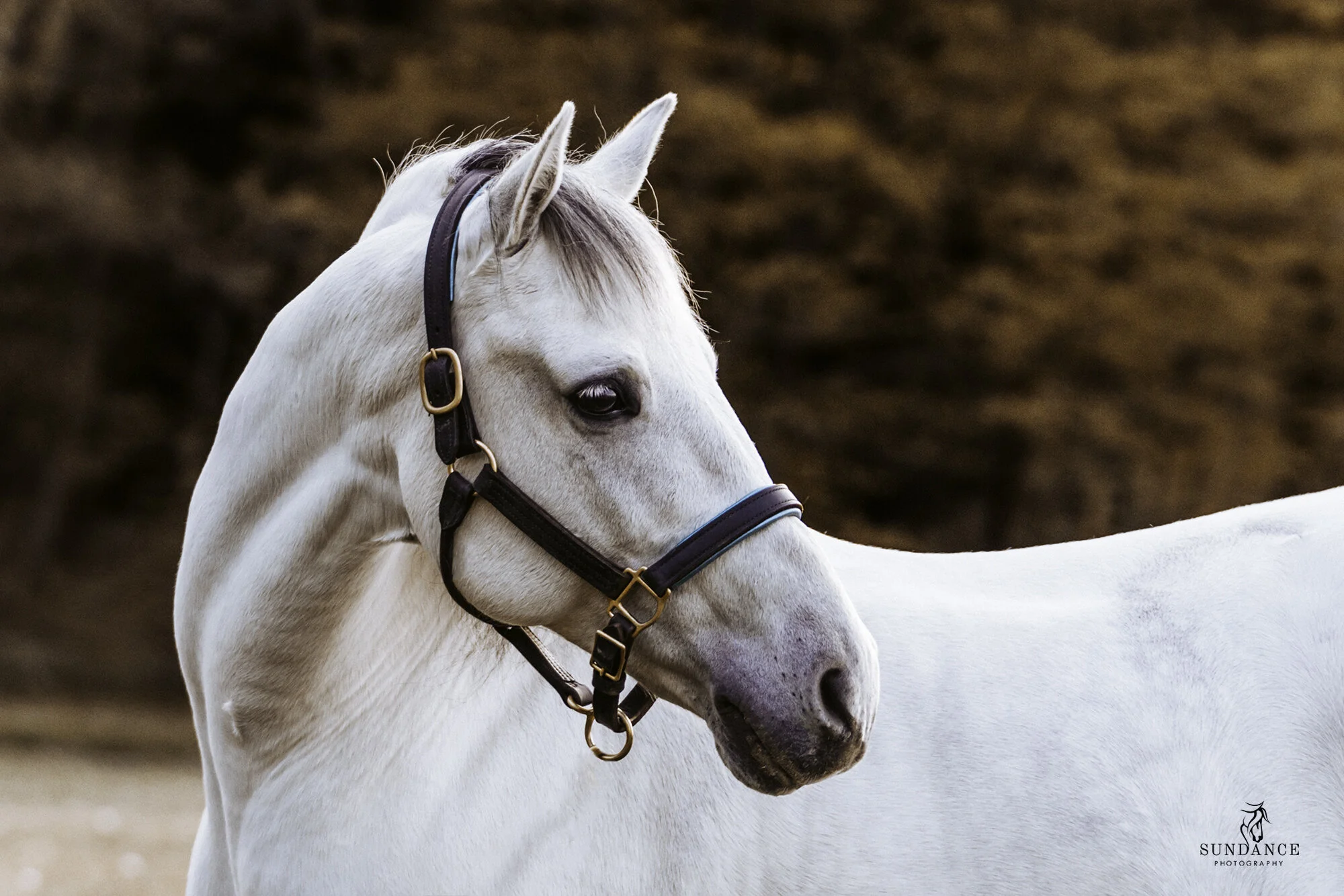 untitled shoot-45704.jpg