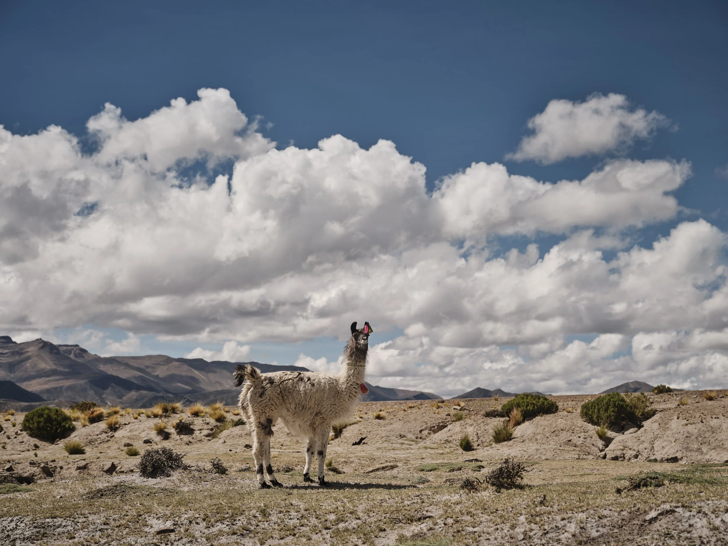 Bolivia_336.jpg