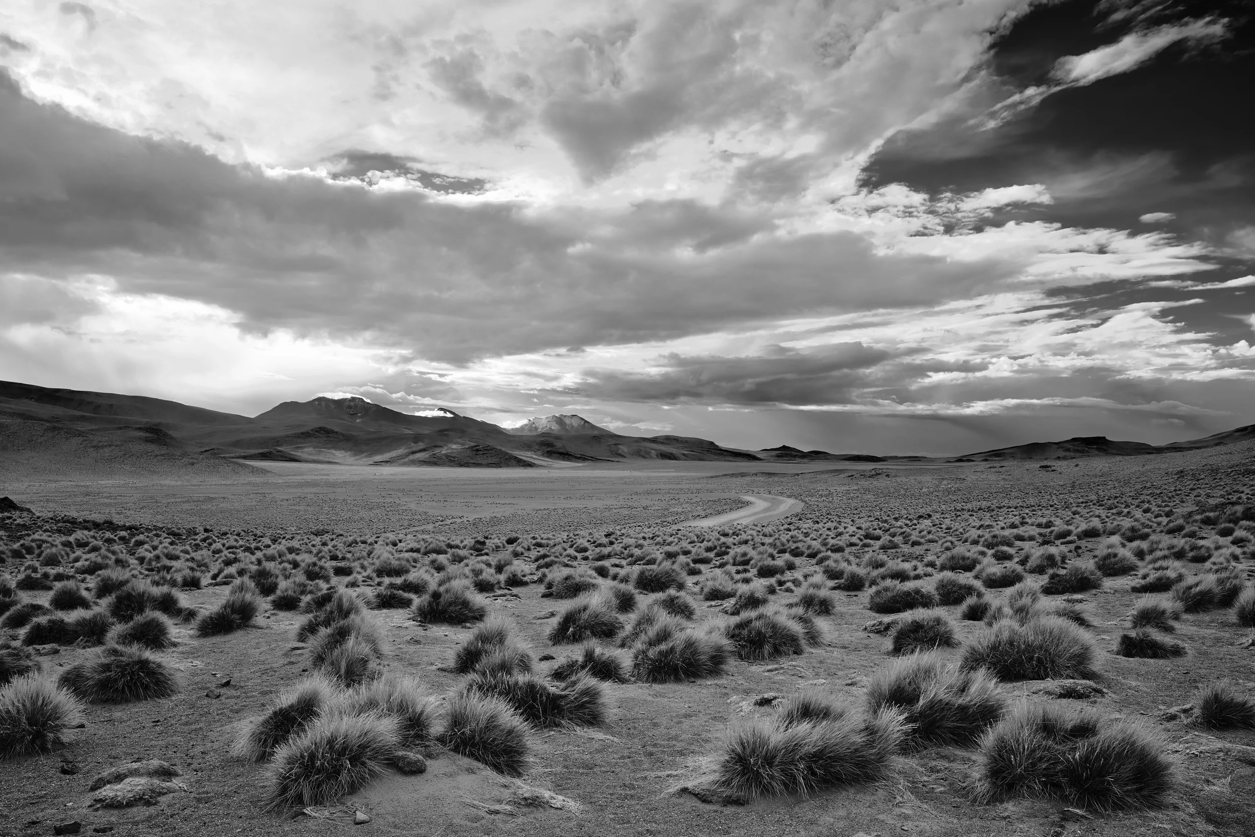 Bolivia_975.jpg