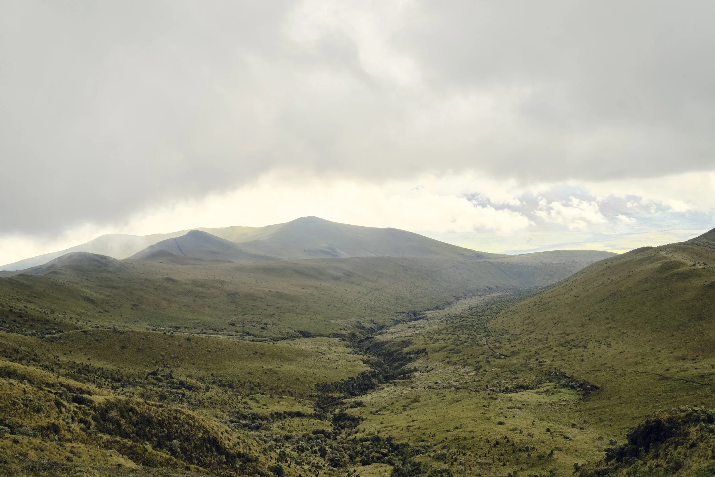ECUADOR_2151.jpg