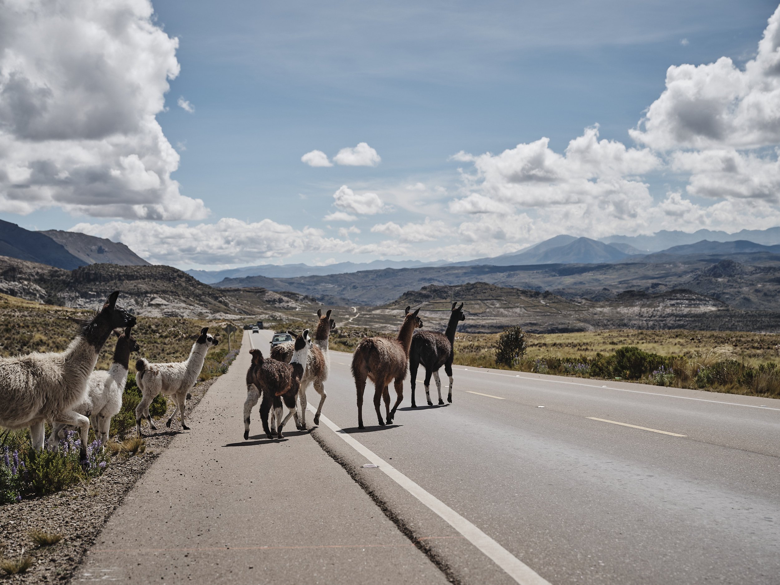 Bolivia_291.jpg