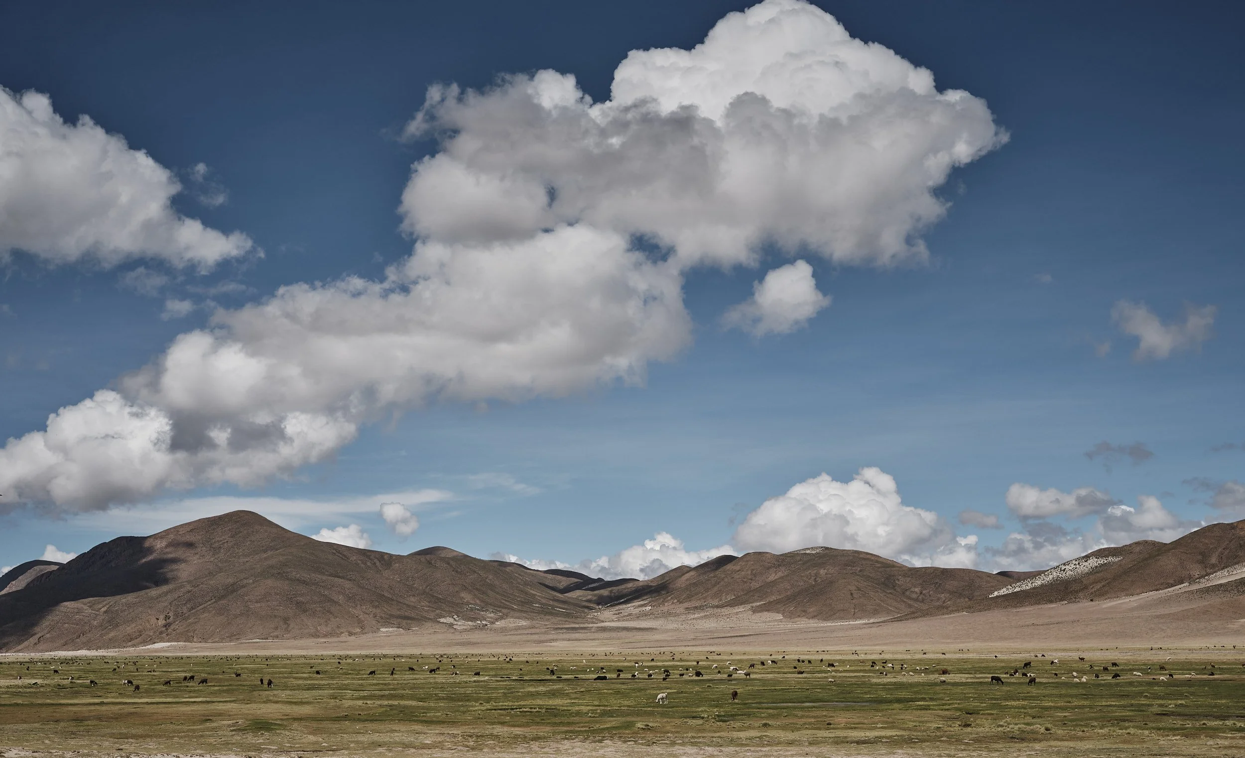 Bolivia_352 1.jpg