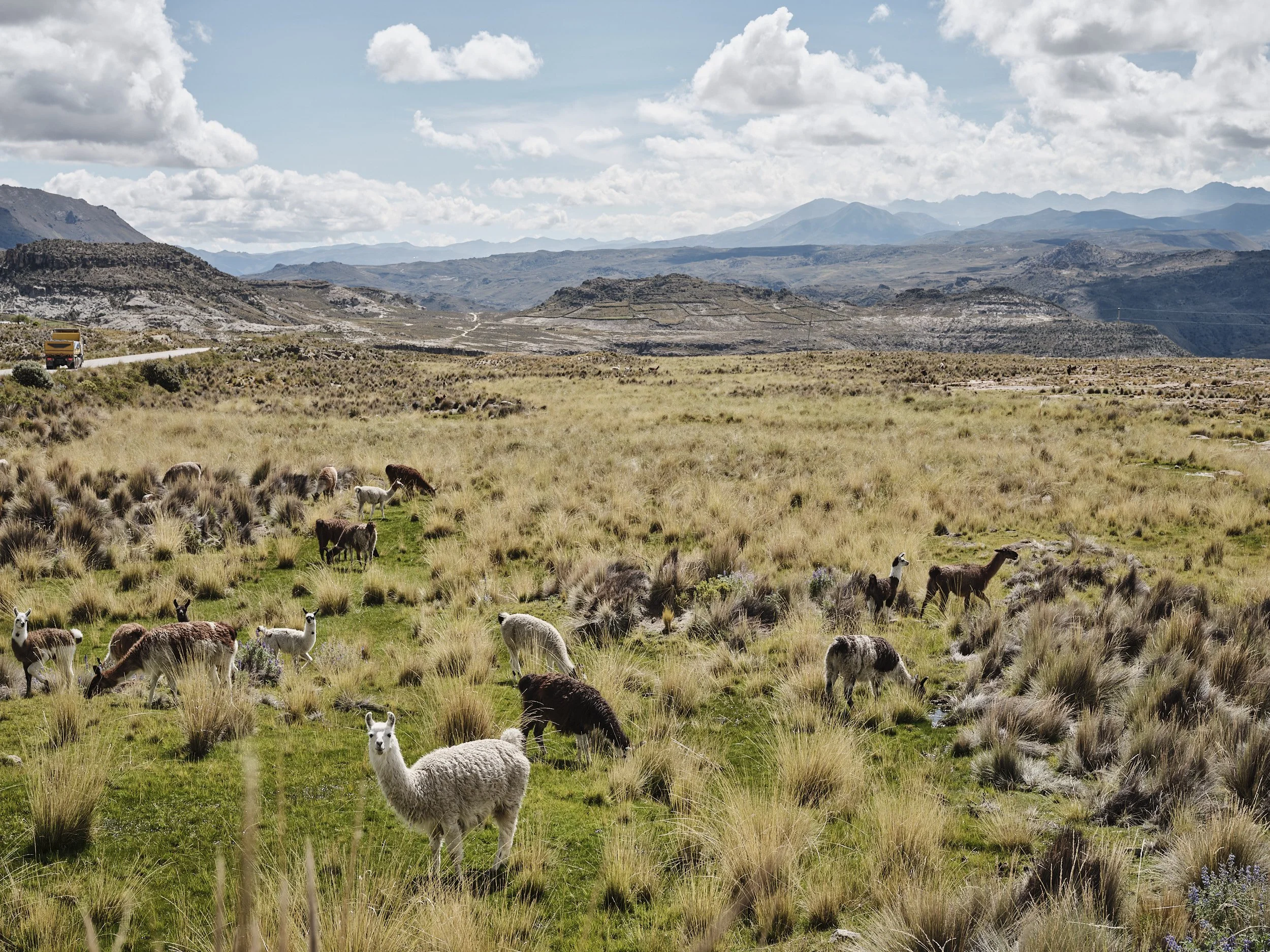 Bolivia_311.jpg
